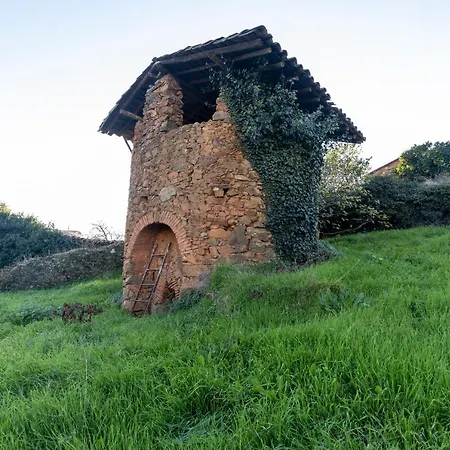 El Abeto * Torre de Don Miguel